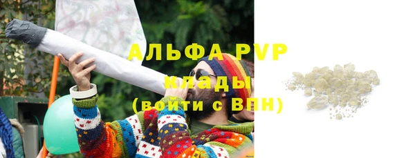 прущие грибы Покров